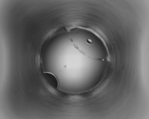 X0000113860397200910011025