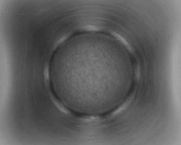 X0000113860398200910011025