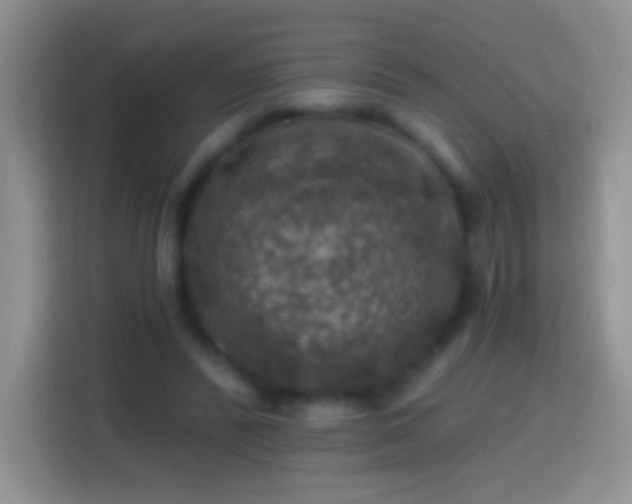 X0000113860400200910011025