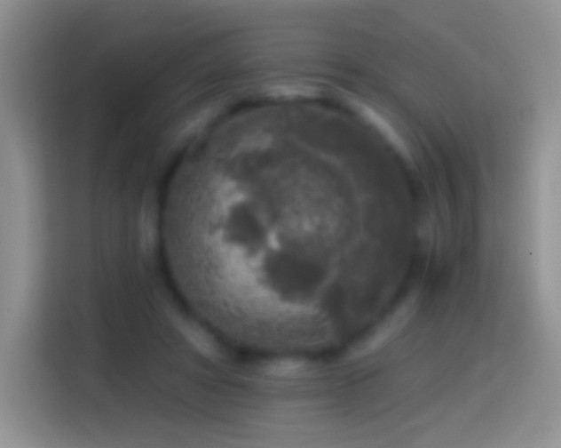 X0000113860402200910011025