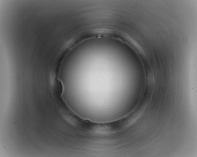 X0000113860403200910011025