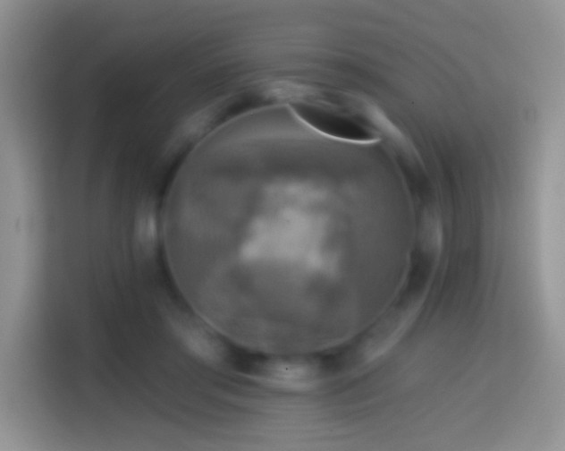 X0000113860405200910011025
