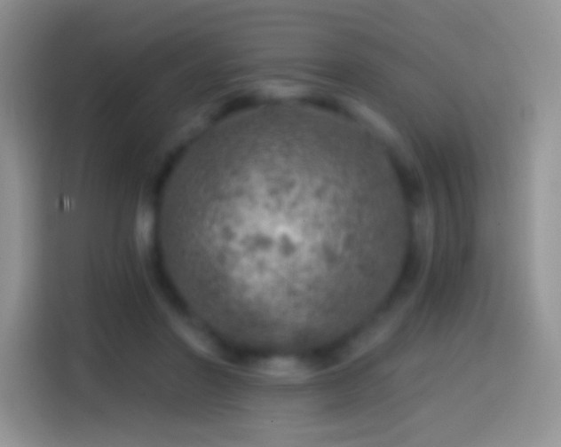 X0000113860406200910011025