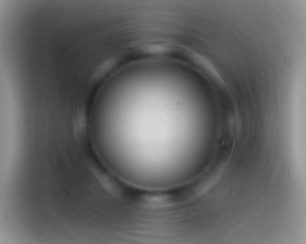 X0000113860407200910011025