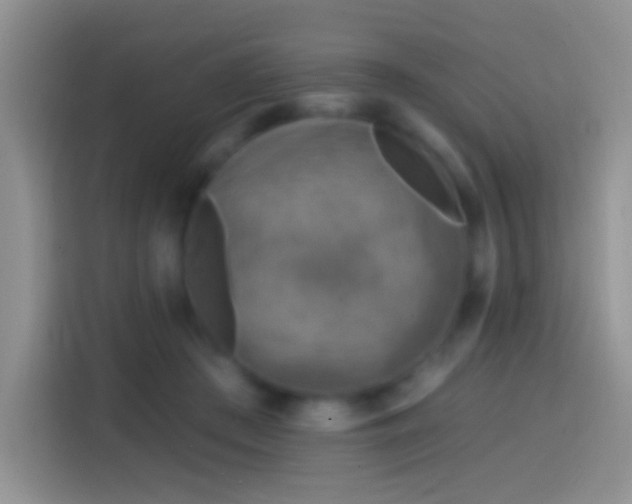 X0000113860409200910011025