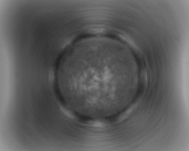 X0000113860412200910011025