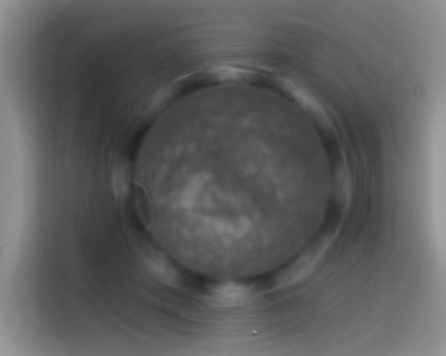 X0000113860413200910011025