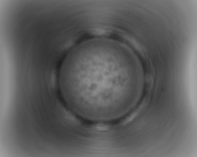 X0000113860416200910011025