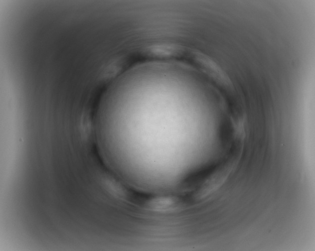 X0000113860418200910011025