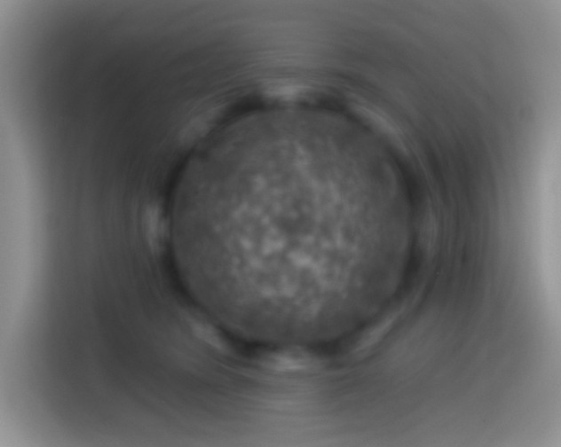 X0000113860420200910011025