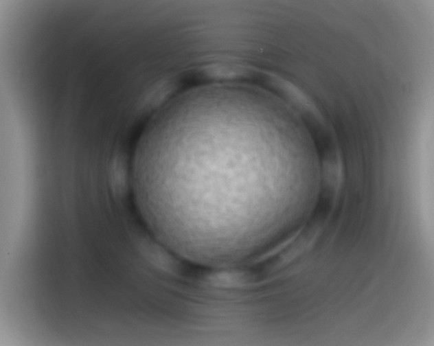 X0000113860422200910011025