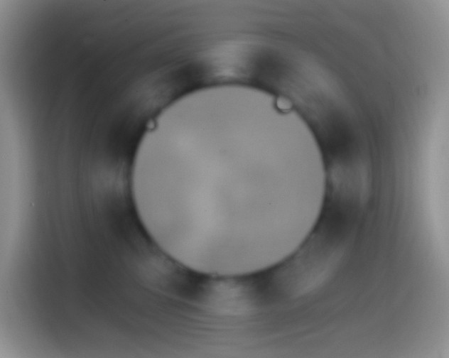 X0000113860423200910011025