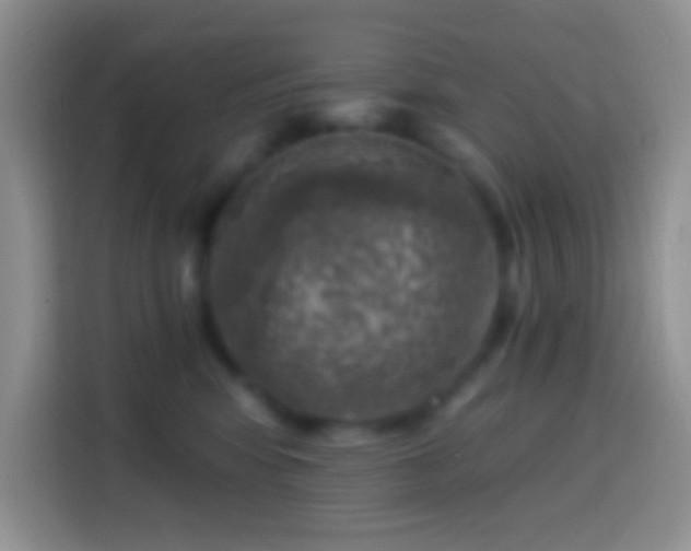 X0000113860424200910011025