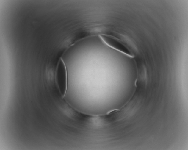 X0000113860425200910011025