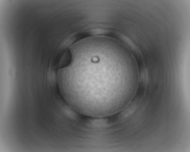 X0000113860426200910011025