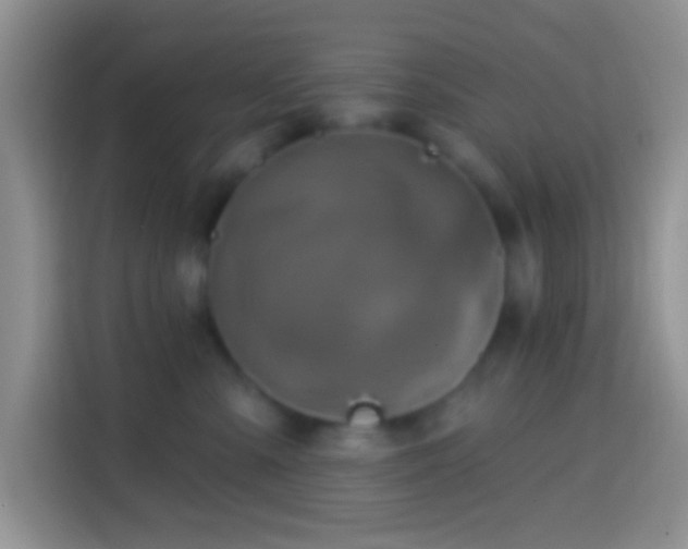 X0000113860427200910011025