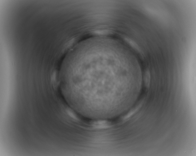 X0000113860428200910011025