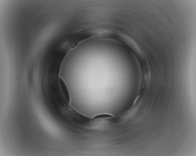 X0000113860429200910011025