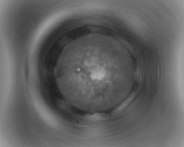 X0000113860430200910011025