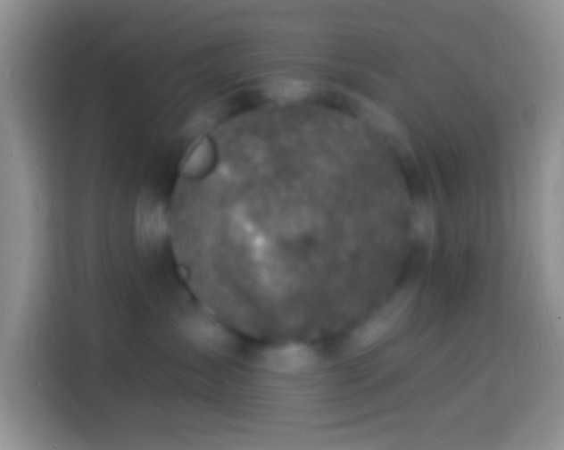 X0000113860431200910011025
