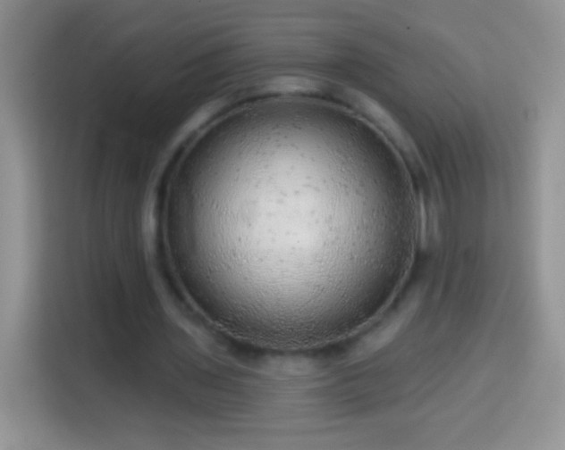 X0000113860435200910011024