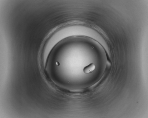 X0000113860436200910011024