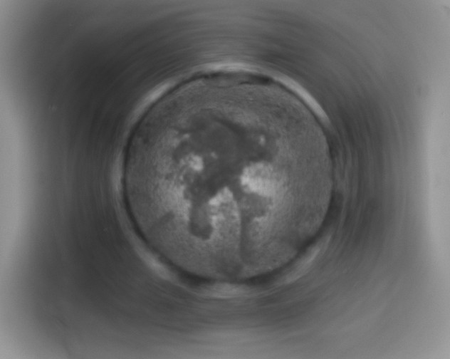 X0000113860437200910011024