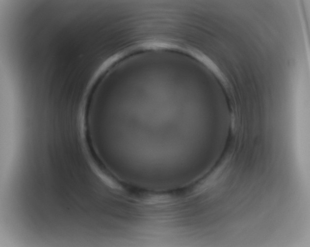 X0000113860438200910011024