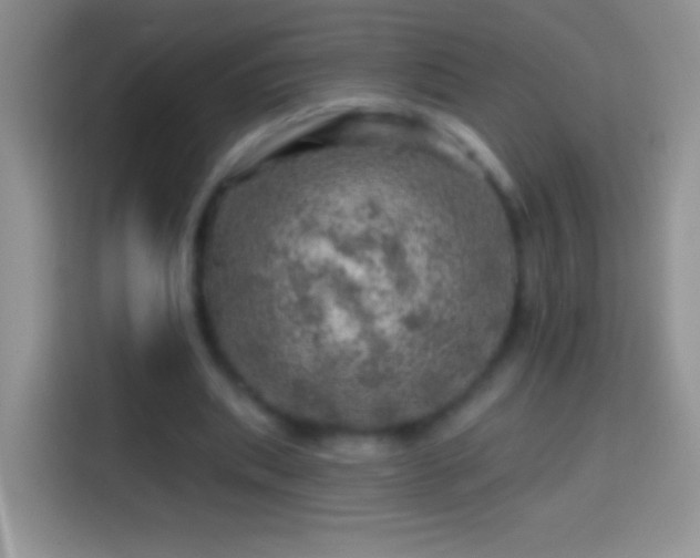 X0000113860439200910011024