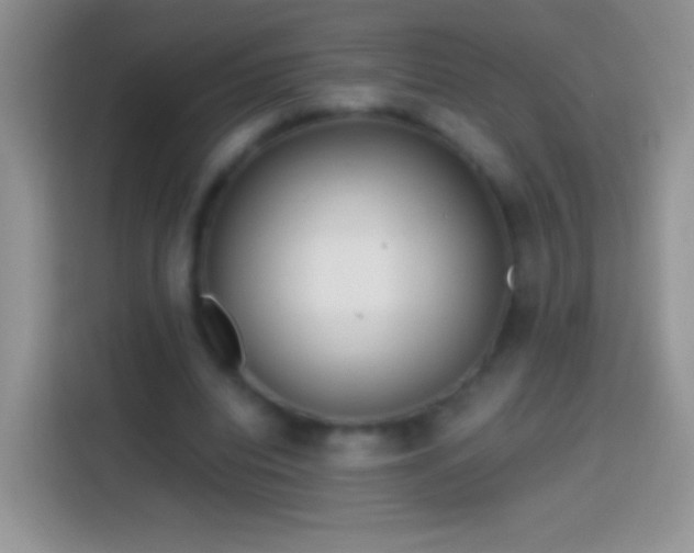X0000113860440200910011024