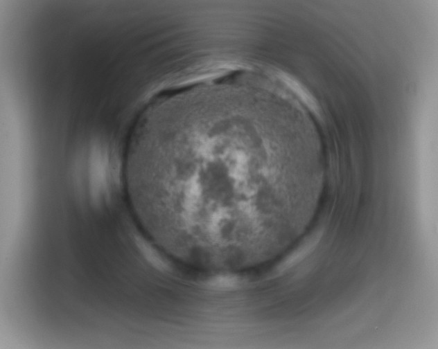 X0000113860441200910011024