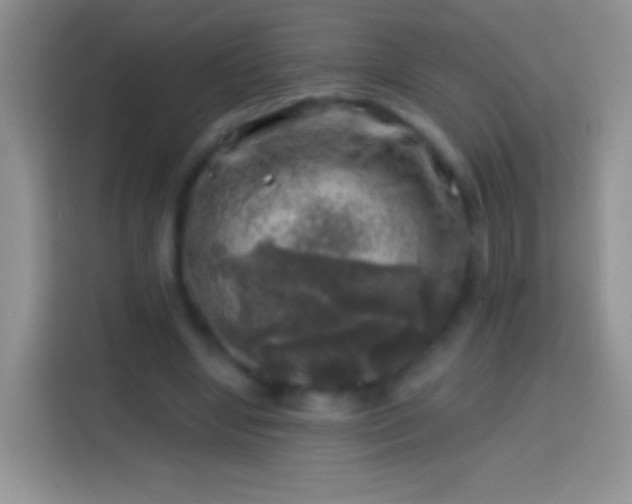 X0000113860442200910011024