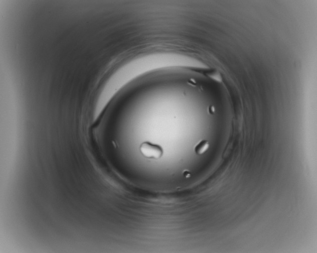 X0000113860444200910011024