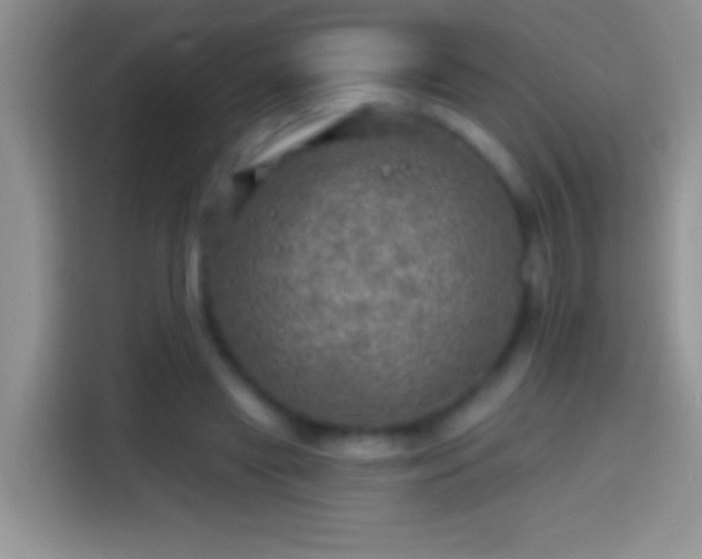 X0000113860445200910011024