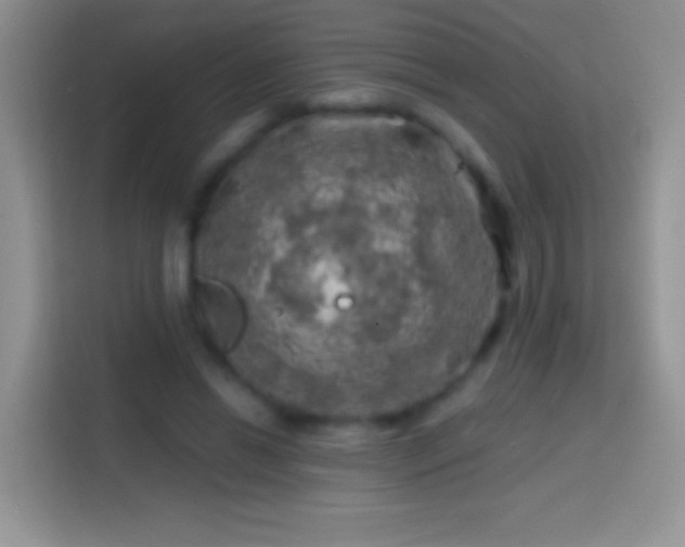 X0000113860446200910011024
