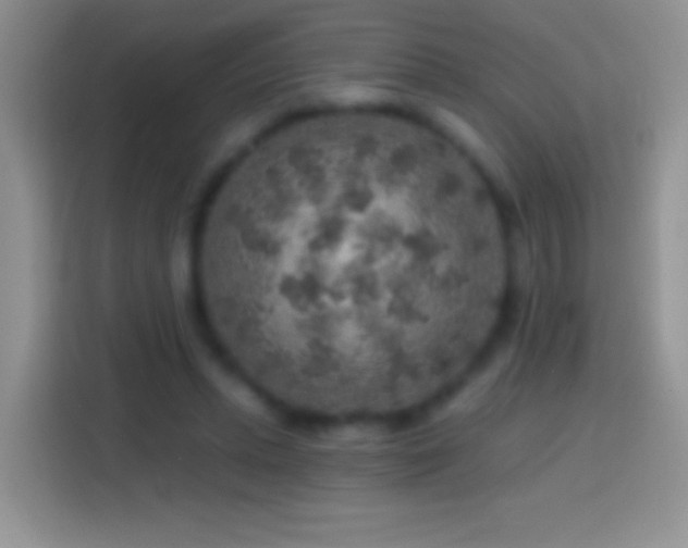 X0000113860447200910011024