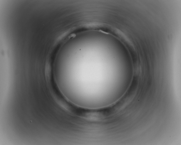 X0000113860448200910011024