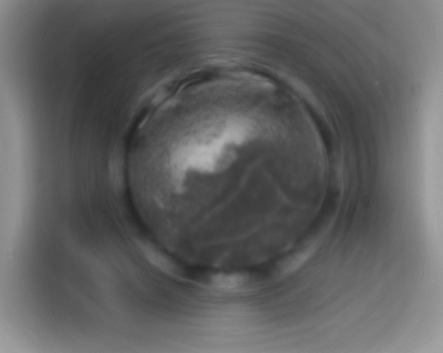 X0000113860450200910011024