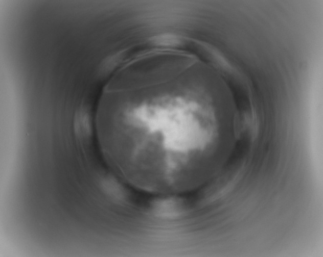 X0000113860452200910011024