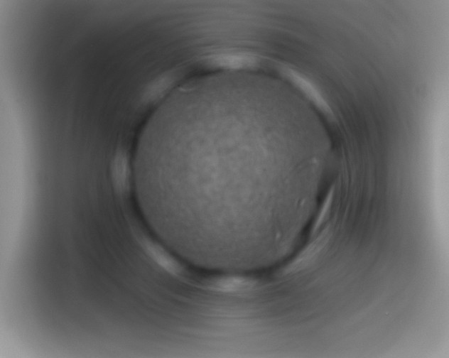 X0000113860453200910011024