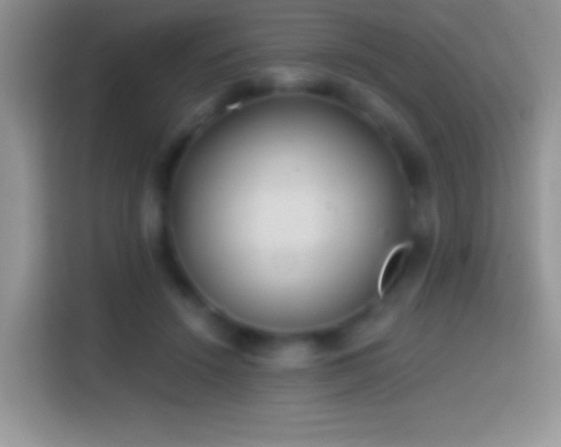 X0000113860456200910011025