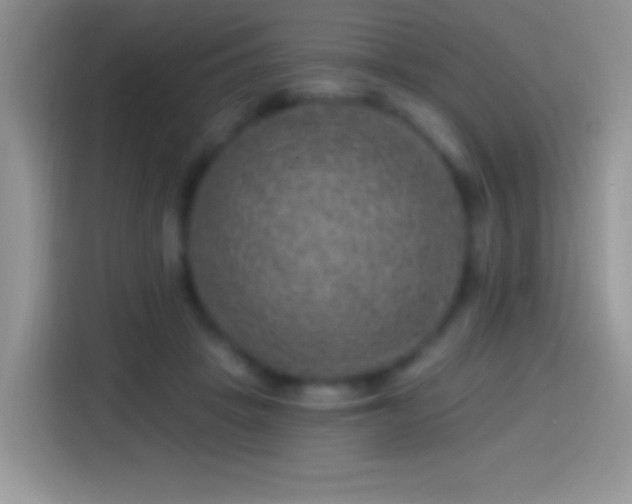 X0000113860457200910011025