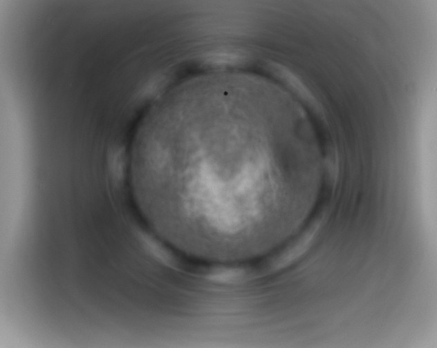 X0000113860458200910011025