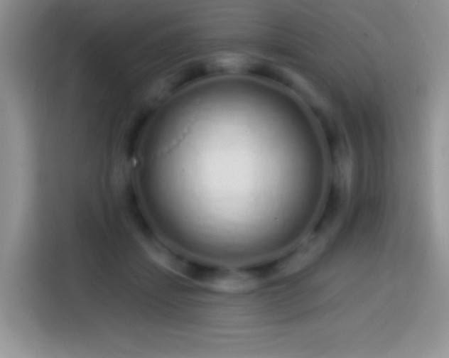 X0000113860459200910011025