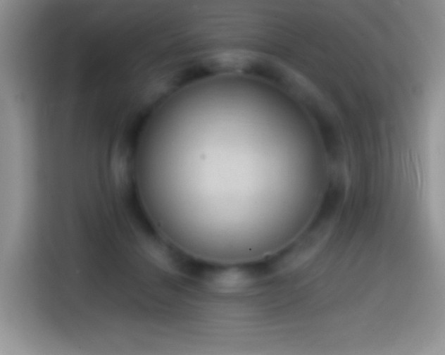X0000113860460200910011025
