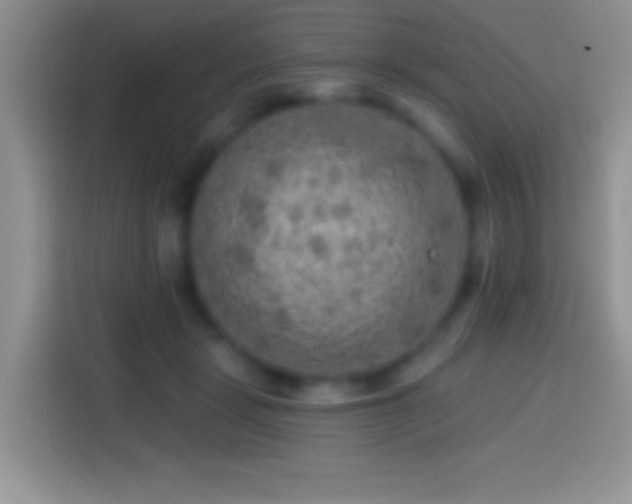 X0000113860461200910011025