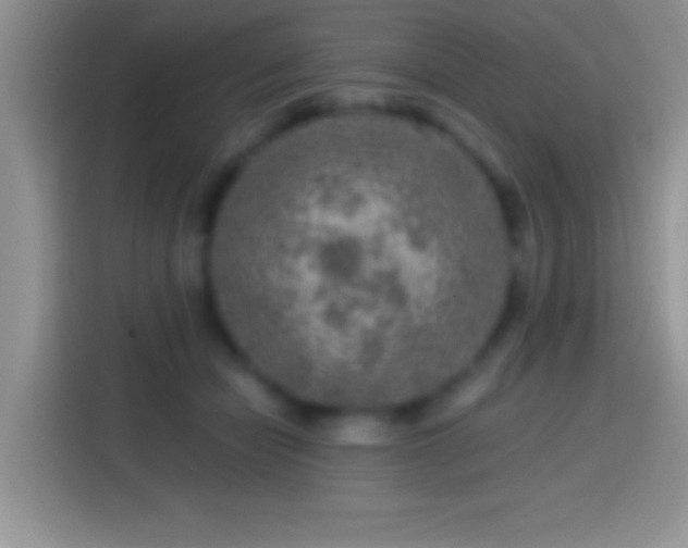 X0000113860462200910011025