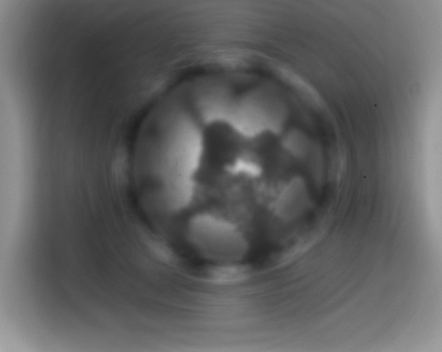 X0000113860465200910011025