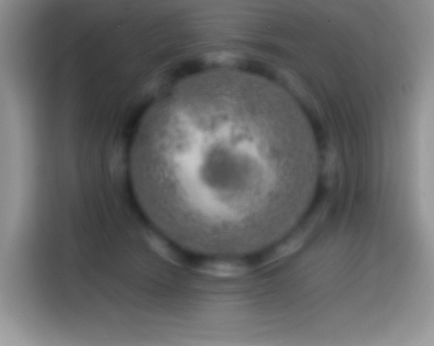 X0000113860466200910011025
