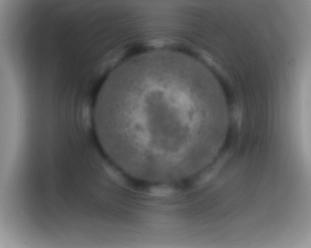 X0000113860470200910011025